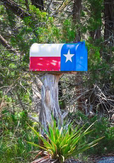 Rural Texas mailbox painted with the Texas state flag design, set against a typical Texas cedar brush background