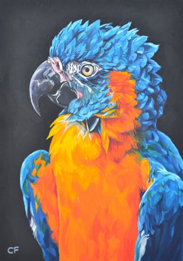 a painting of a blue throated macaw in profile