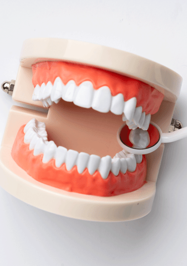 Ortodontia para todos na região do Tatuapé