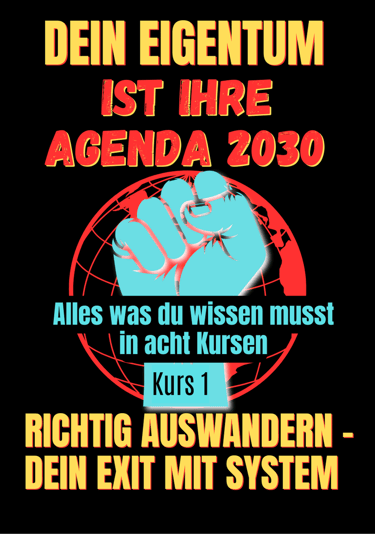 buch cover dexit richtig auswander raus aus dme system i