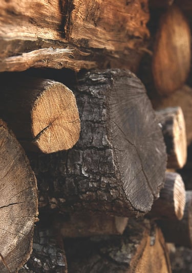 a un tas de bûches de bois empilées les unes sur les autres