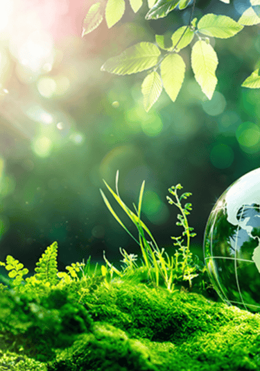 engenharia ambiental