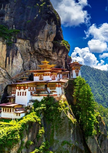 joshua tours bhutan trip budha temple
