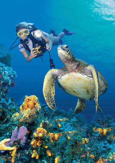 the andaman and nicobar islands trip joshua tours sea side snorkelli para sailing water activities