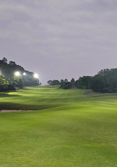 a golf course with a view of the course