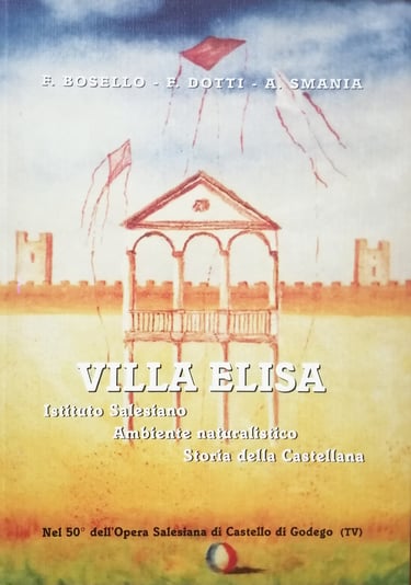 Villa Elisa