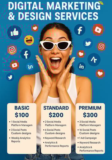 digital solutions posters with girl standing excited