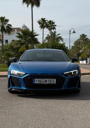 Front view of a blue Audi R8 supercar parked on a tropical street with palm trees and white villas.