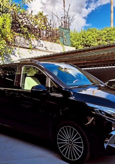 Luxury black Mercedes-Benz V-Class van parked in a driveway under a carport.