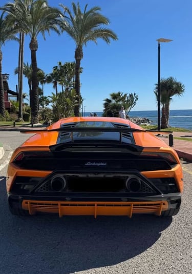 Rear view of an orange Lamborghini Huracan parked on a coastal road with palm trees and ocean.