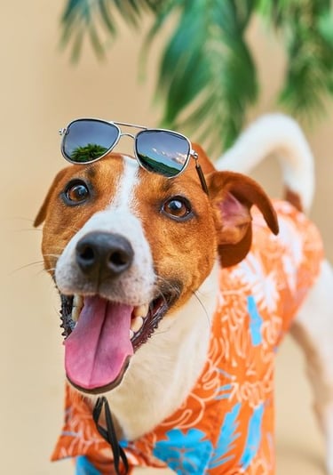 Feliz Jack Russell Terrier con una camisa de perro floral tropical y gafas de sol de las vacaciones