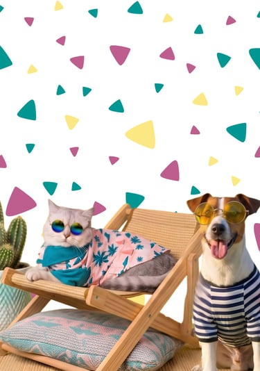Gato y perro usando gafas de sol y ropa de verano en sillas de playa.