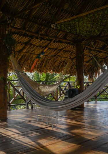 Hamacas