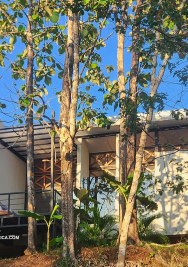 featuring showers with unobstructed views of the surrounding landscape.
