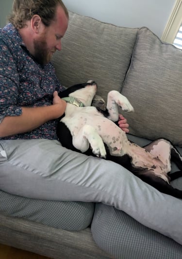 gentle man cuddles with sleepy pit bull on a couch