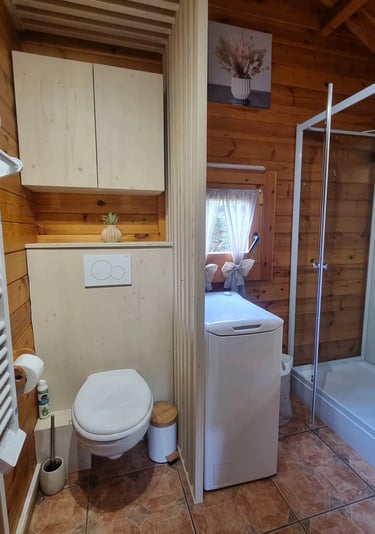 une salle de bain avec des toilettes