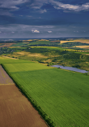 Buy, sell, invest, expand your land