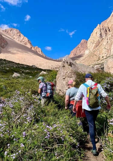 breathwork and hike in the andes near Mendoza