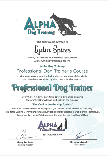 Lydia Spicer Professional Dog Trainer Certificate