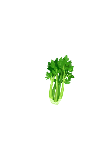 a branch of celery 
