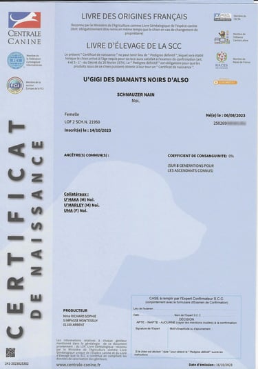 Certificat naissance LOF U'Gigi