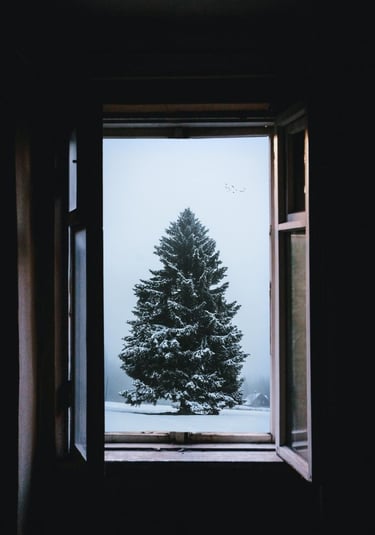 Pro langą matoma vieniša kalėdinė eglutė, kuri simbolizuoja per Kalėdas patiriamą vienišumą