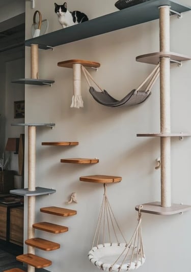 Wall-mounted cat route with climbing shelves, resting hammocks and multiple platforms for cats in a