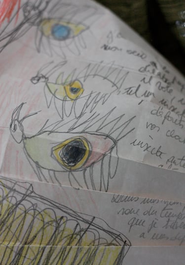 karine-nguyen-van-tham-le feu de l'enfant dessin mediumnique, détail, yeux insectes ailés