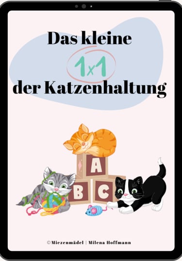 ein Tablet mit dem Cover eines E-Books, auf dem Katzen am spielen sind