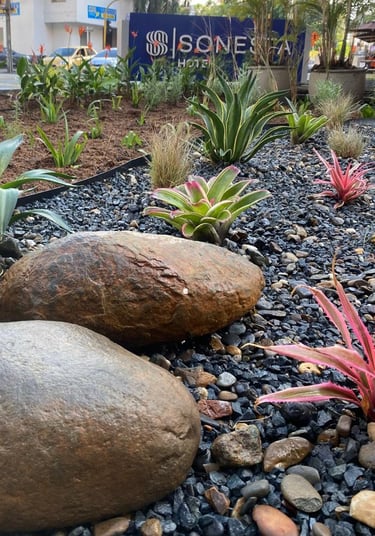 diseño de jardines Cali