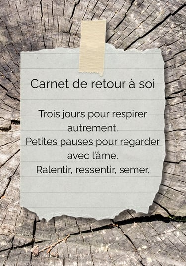 visuel du kit créatif