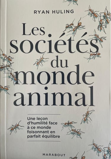 Publié en juin 2026 chez Marabout !