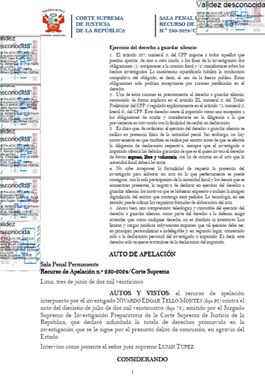 AUTO DE APELACIÓN N.º 250-2024/CORTE SUPREMA 