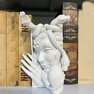 Medusa Head Book Nook