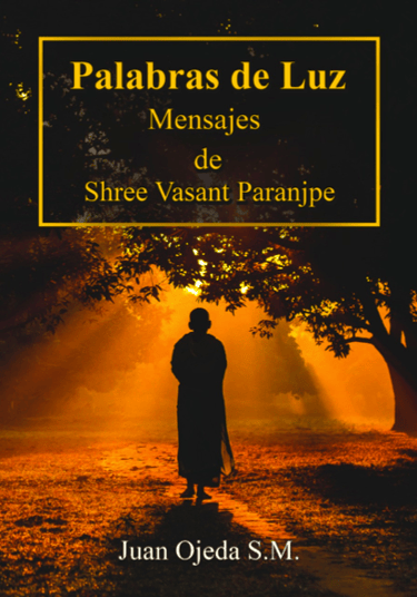 Libro Palabras de Luz Shree Vasant Juan Ojeda S.M.a