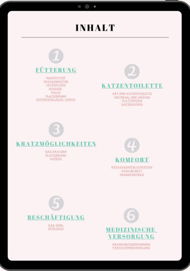 ein Tablet mit dem Inhaltsverzeichnis eines E-Books
