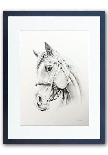 Commissioned horse Portrait hand drawn in pencil