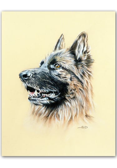 Custom pet portrait, hand drawn in pastel pencils