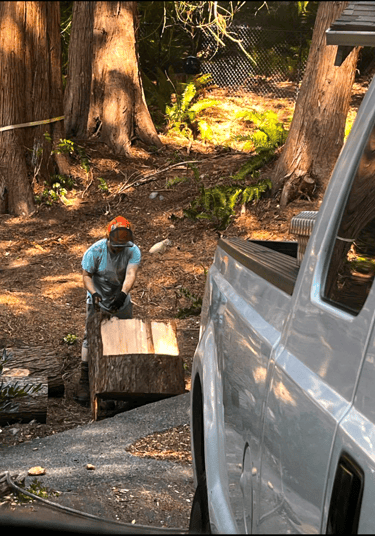 Large tree trunk and stump being removed in Bothell Washington