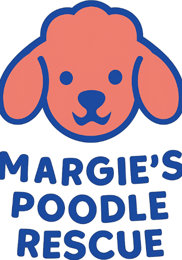 Margie's mini poodle and toy poodle rescue