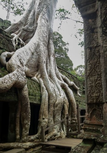tempio-ta-prohm