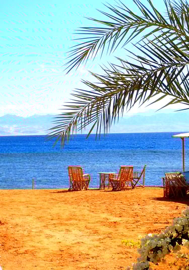 Ein Strand mit Blumen und Palmen direkt am Meer, tolle Atmosphäre für Familienurlaube