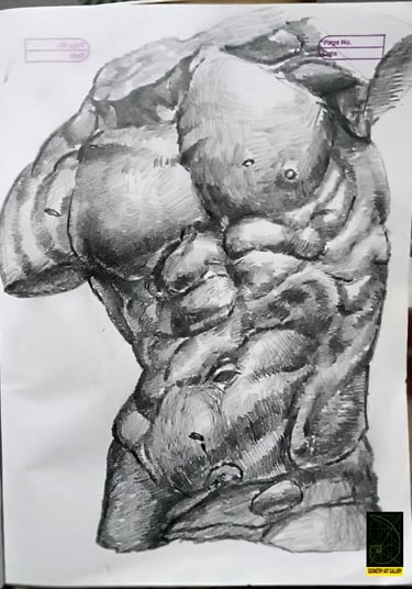 anatomy sculpture art of human torso in pencil shading
