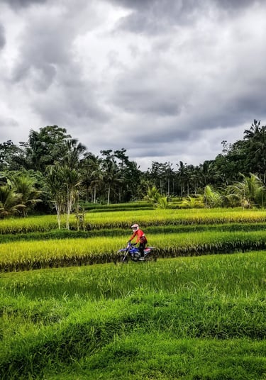 Bali dirt bike tours