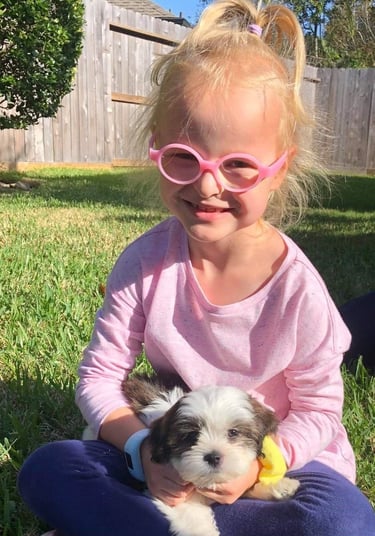 Perfect Paw Pups MalShi Family Adoption