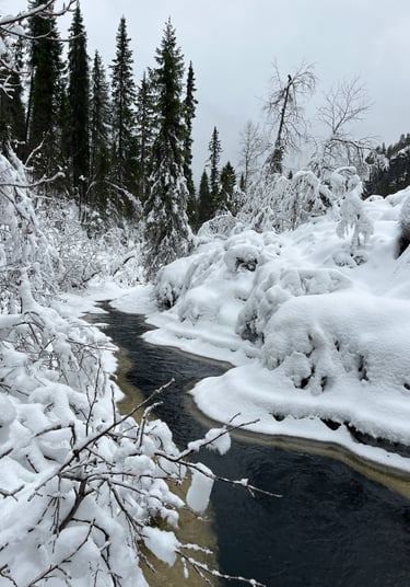 Frozen Landscape in Lapland