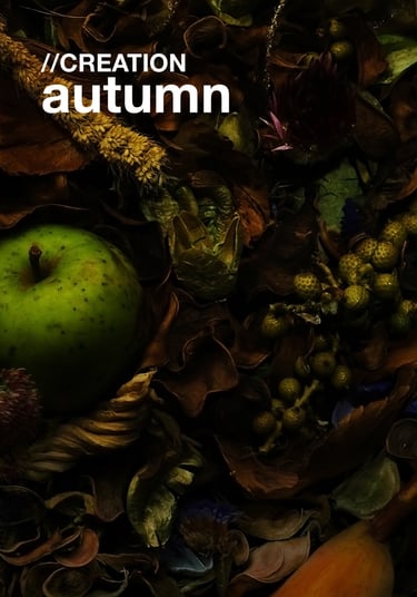 KANTE creation autumn