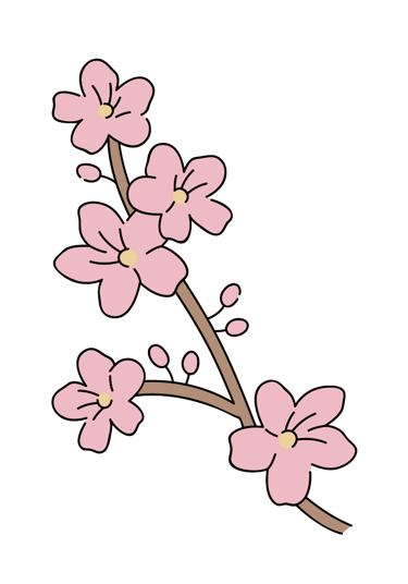korean flowers