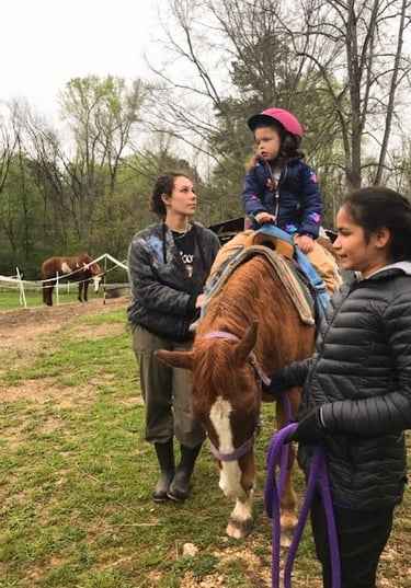 Health Vibes - Therapeutic riding lesson to improve physical, mental, and emotional health