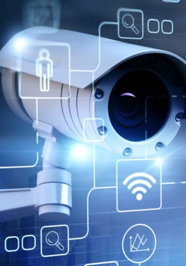 Seguridad física | STICS Consultores